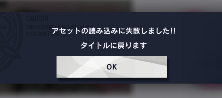 アセットの読み込みに失敗しました.jpg
